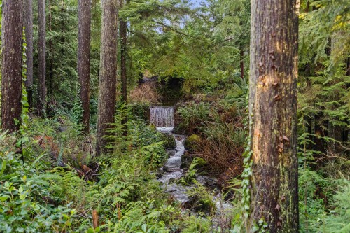 3025 Anmore Creek Way, Anmore, BC 