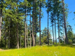 448 Burrill Road Galiano Island, BC V0N 1P0