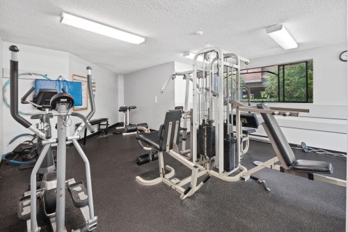 249-7471 Minoru Boulevard, Richmond, BC - Indoor Photo Showing Gym Room