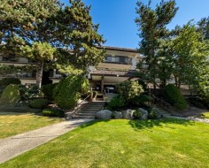 206-6560 Buswell Richmond, BC V6Y 2G7