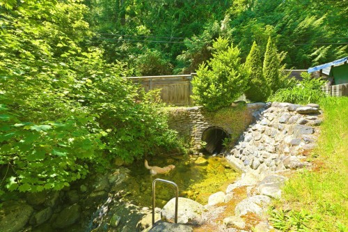 5481 Indian River Drive, North Vancouver, BC 