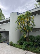 756 Rochester Avenue  Coquitlam, BC V3K 2V8