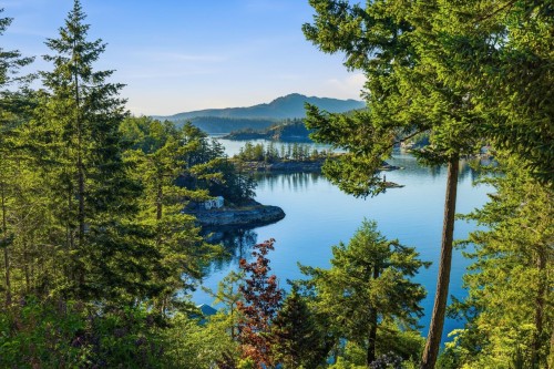 4065 Francis Peninsula Road, Madeira Park, BC 