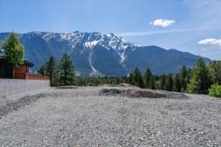 1770 Pinewood Drive Pemberton, BC V0N 2L3