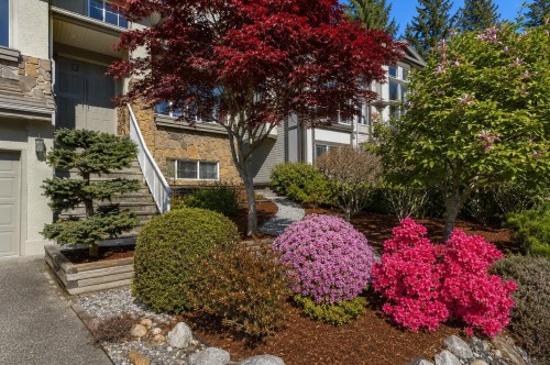 98 Linden Court, Port Moody, BC - Outdoor