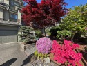 98 Linden Court, Port Moody, BC  - Outdoor 