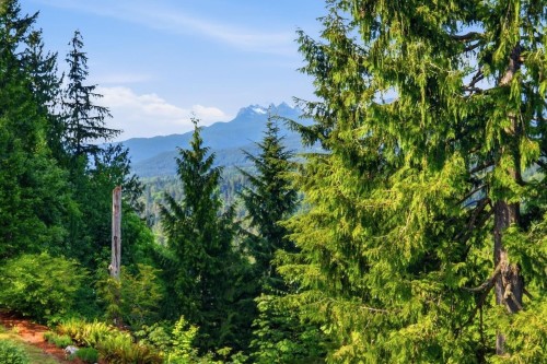 10240 Rolley Crescent, Maple Ridge, BC 