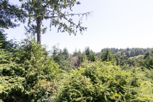 4591 Woodgreen Drive, West Vancouver, BC 