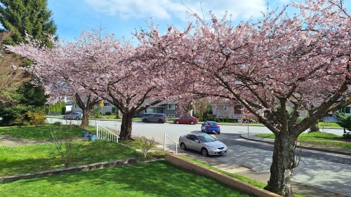 4545 William Street, Burnaby, BC 