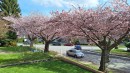 4545 William Street, Burnaby, BC 