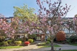 213-1950 8th Avenue W Vancouver, BC V6J 1W3