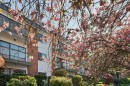 213-1950 8Th Avenue W, Vancouver, BC 