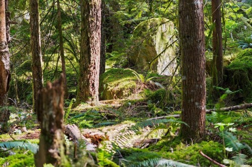 2050 Midnight Way, Squamish, BC 