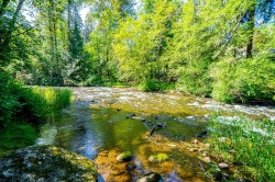 23942 Fern Crescent Maple Ridge, BC V4R 2S3