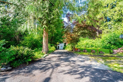 23942 Fern Crescent, Maple Ridge, BC 
