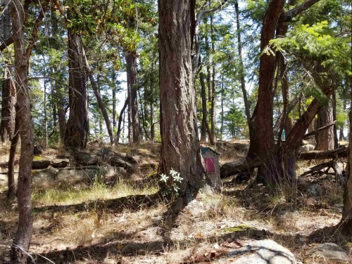 620 Simpson Crescent, Galiano Island, BC 