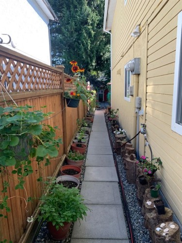 1171 Creekside Drive, Coquitlam, BC 
