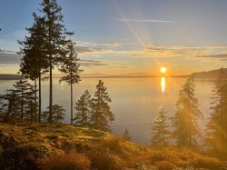 10991--10993 Sunshine Coast Highway Halfmoon Bay, BC V7Z 1B8