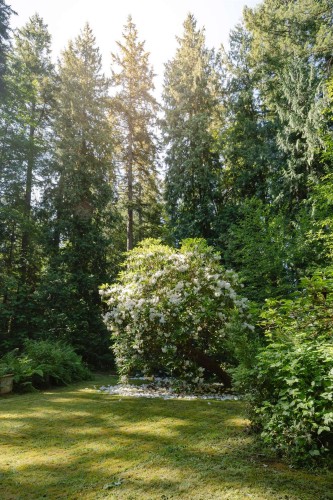 2867 Lower Road, Roberts Creek, BC 