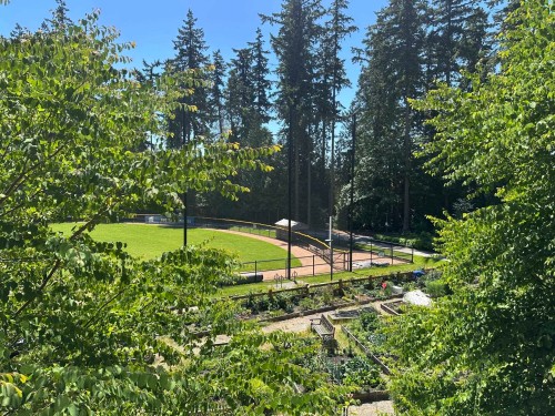 212-3581 Ross Drive, Vancouver, BC 