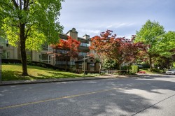 201-19142 122nd Avenue Pitt Meadows, BC V3Y 2P9