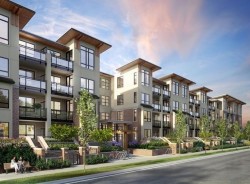 209-4033 May Drive  Richmond, BC V6X 0T3