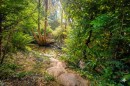 3870 Emerald Drive, North Vancouver, BC 