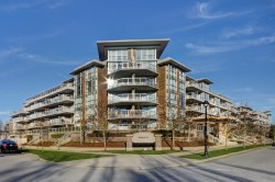 308-9373 Hemlock Richmond, BC V6Y 0A9