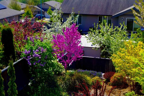 6263 Apollo Road, Sechelt, BC 