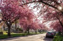111 61St Avenue E, Vancouver, BC 