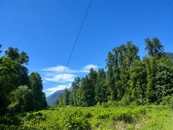 146 Doghaven Lane Squamish, BC V8B 0C2