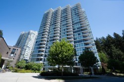 5XX-5629 Birney Avenue Vancouver, BC V6S 0L5