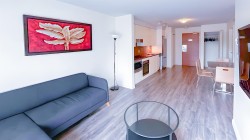 502-161 West Georgia St Vancouver, BC V6B 0K9