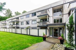 215-780 Premier Street North Vancouver, BC V7J 2G8