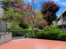 102-8460 Ackroyd Road Richmond, BC V6X 3E9