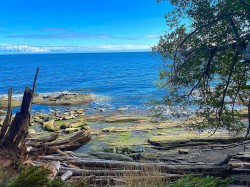 Lot 16 Dl 71 And 77 Galiano Island, BC V0N 1P0