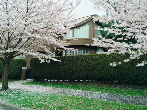Wallace Street, Vancouver, BC 
