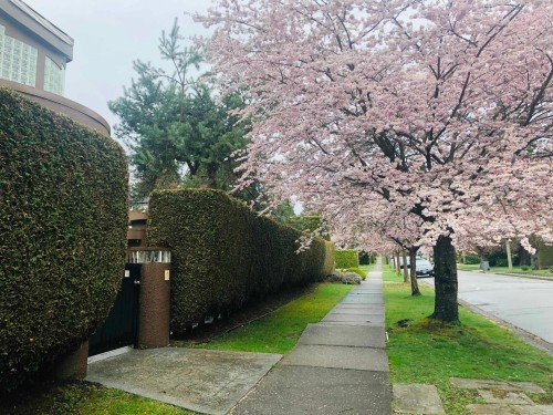 Wallace Street, Vancouver, BC 