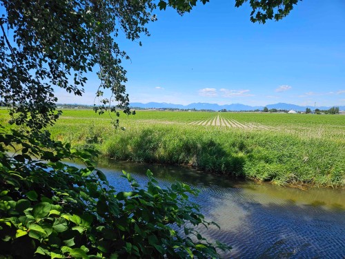 6227 Crescent Place, Delta, BC 