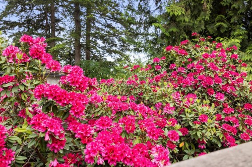 1561 Merlynn Crescent, North Vancouver, BC 