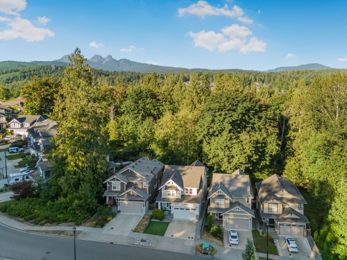 13542 Nelson Peak Drive, Maple Ridge, BC 