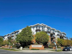 205-9500 Odlin Road  Richmond, BC V6X 0H5