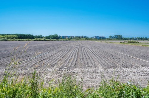 13251 Gilbert Road, Richmond, BC 