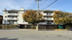 104-11963 223 Street Maple Ridge, BC V2X 5Y4