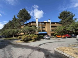 319-7295 Moffatt Road  Richmond, BC V6Y 3E5