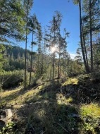 13830 Sakinaw Drive  Garden Bay, BC V0N 1S1