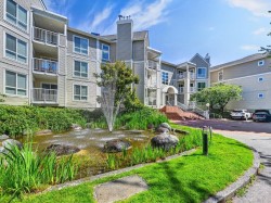 221-7435 Moffatt Road  Richmond, BC V6Y 1X9