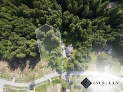 12402 271 Street Maple Ridge, BC V2W 1C2