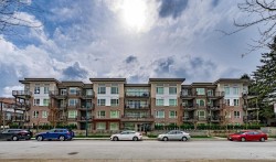 103-2382 Atkins Avenue Port Coquitlam, BC V3C 0G7