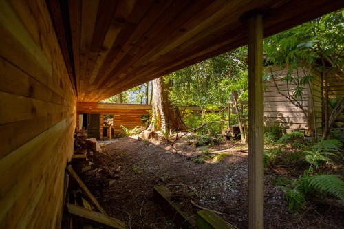 5225 Coombe Lane, Belcarra, BC - Outdoor